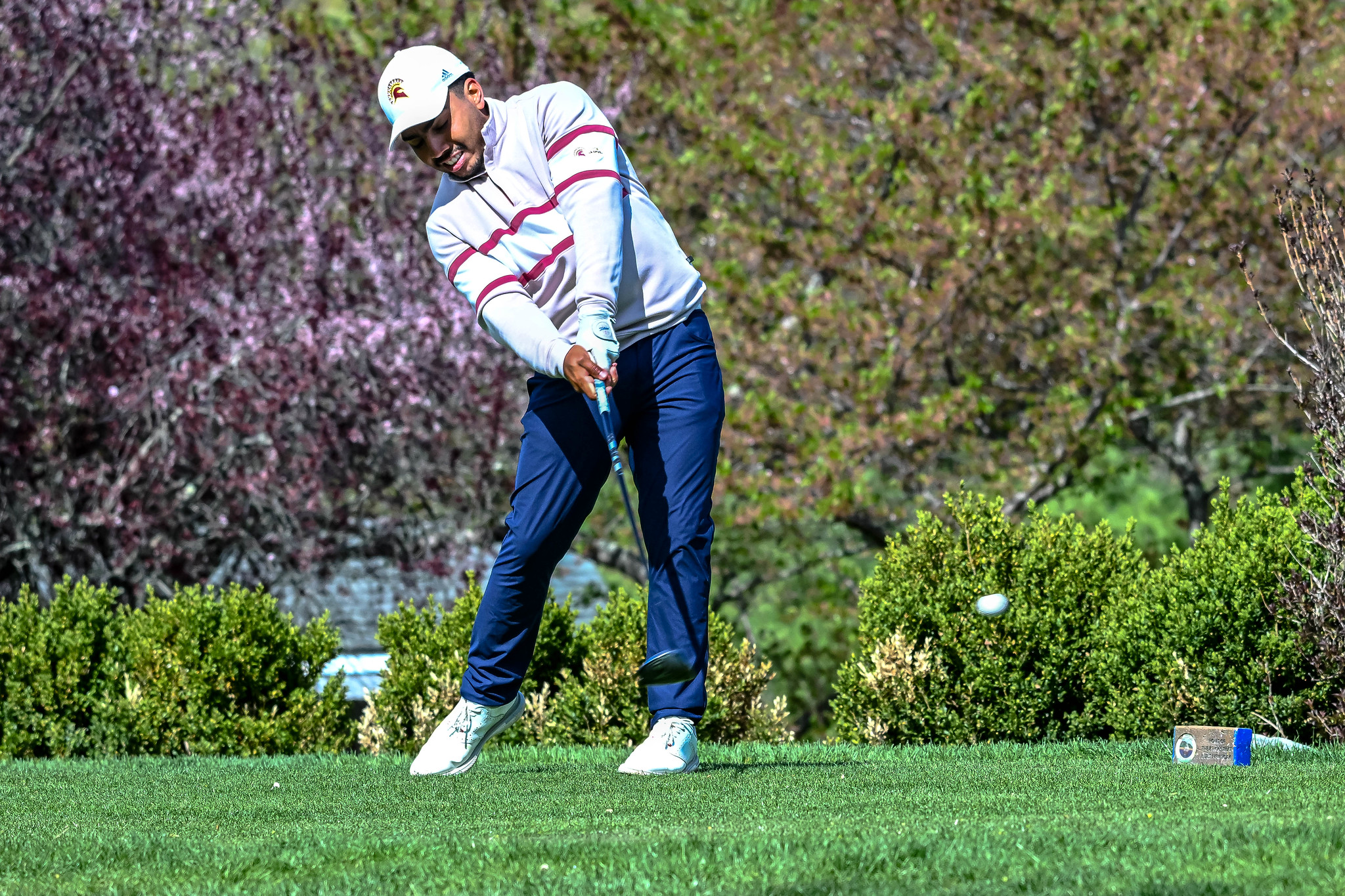 STAC Sits Sixth In The East, As 2026 NCAA Division II Men's Golf Championship Regional Field Set
